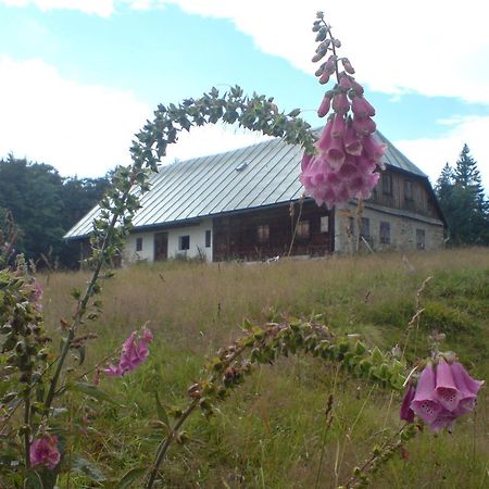 Готель Zur Alten Dampfsaege - Gasthaus-Pension Weber Lindberg Екстер'єр фото