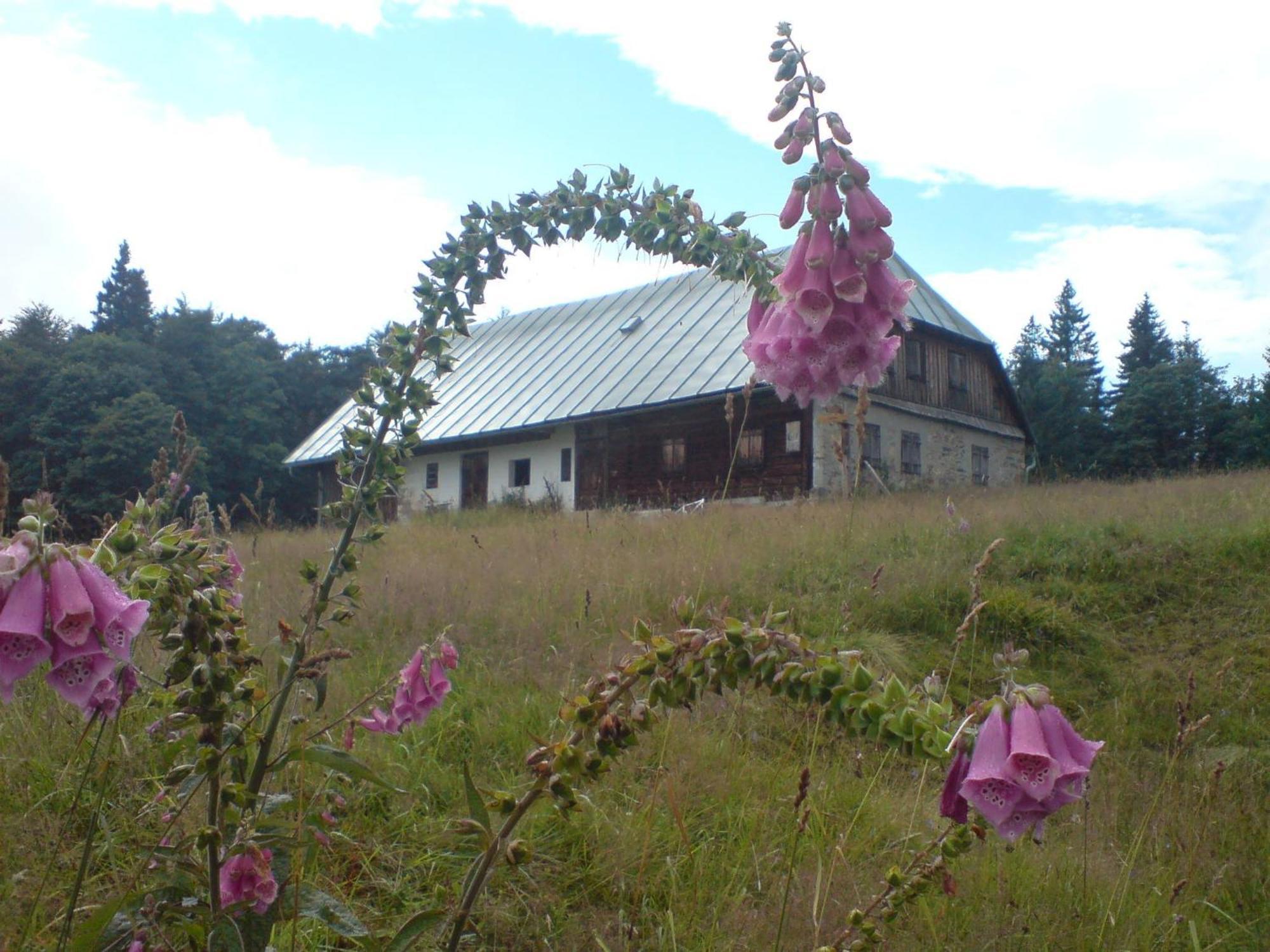 Готель Zur Alten Dampfsaege - Gasthaus-Pension Weber Lindberg Екстер'єр фото